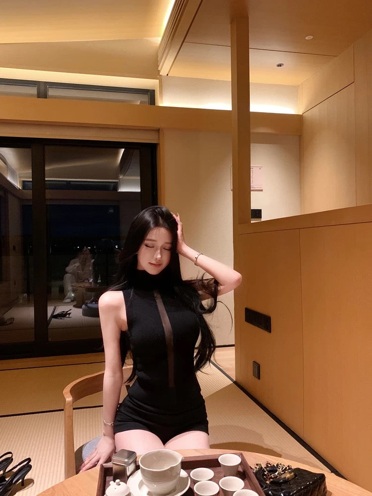 Allure Sheer Highneck